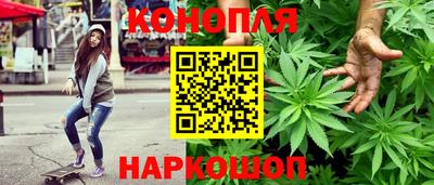 мяу мяу мука Нарткала